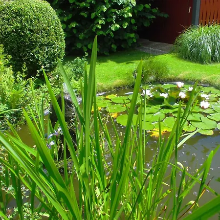 Accommodatie bij particulieren Und Einzelzimmer Schnoor In *